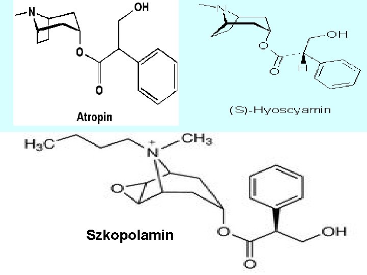 Szkopolamin 