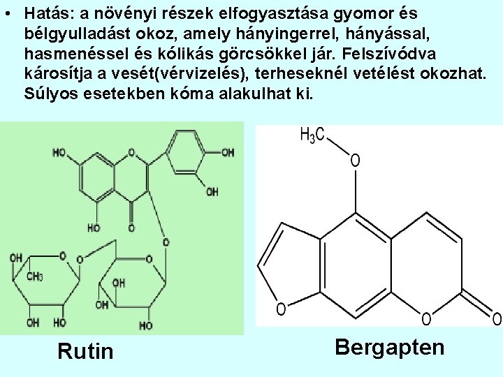  • Hatás: a növényi részek elfogyasztása gyomor és bélgyulladást okoz, amely hányingerrel, hányással,