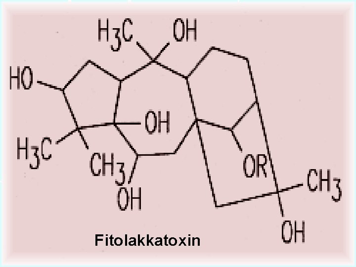 Fitolakkatoxin 