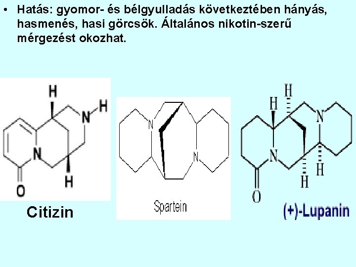  • Hatás: gyomor- és bélgyulladás következtében hányás, hasmenés, hasi görcsök. Általános nikotin-szerű mérgezést