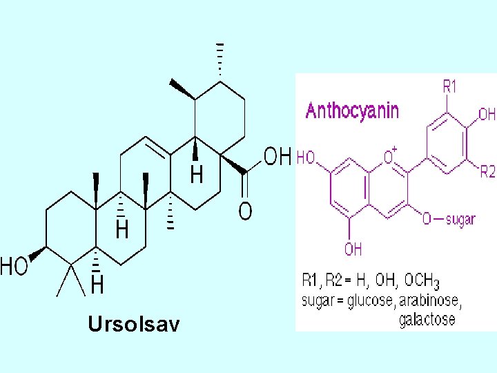 Ursolsav 