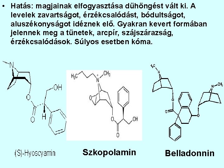  • Hatás: magjainak elfogyasztása dühöngést vált ki. A levelek zavartságot, érzékcsalódást, bódultságot, aluszékonyságot