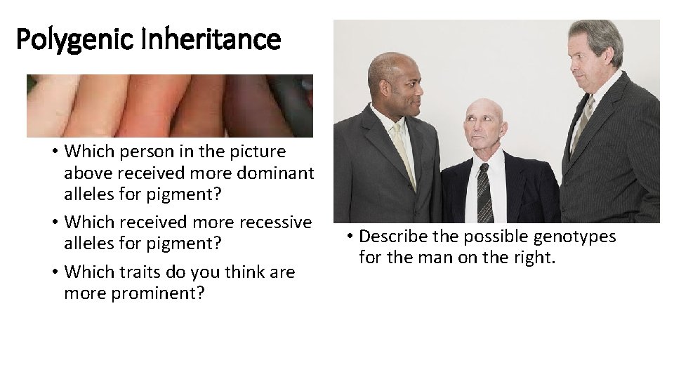 Polygenic Inheritance • Which person in the picture above received more dominant alleles for