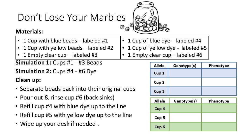 Don’t Lose Your Marbles Materials: • 1 Cup with blue beads – labeled #1