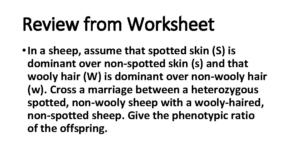 Review from Worksheet • In a sheep, assume that spotted skin (S) is dominant