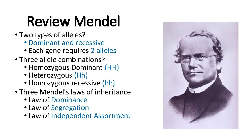 Review Mendel • Two types of alleles? • Dominant and recessive • Each gene