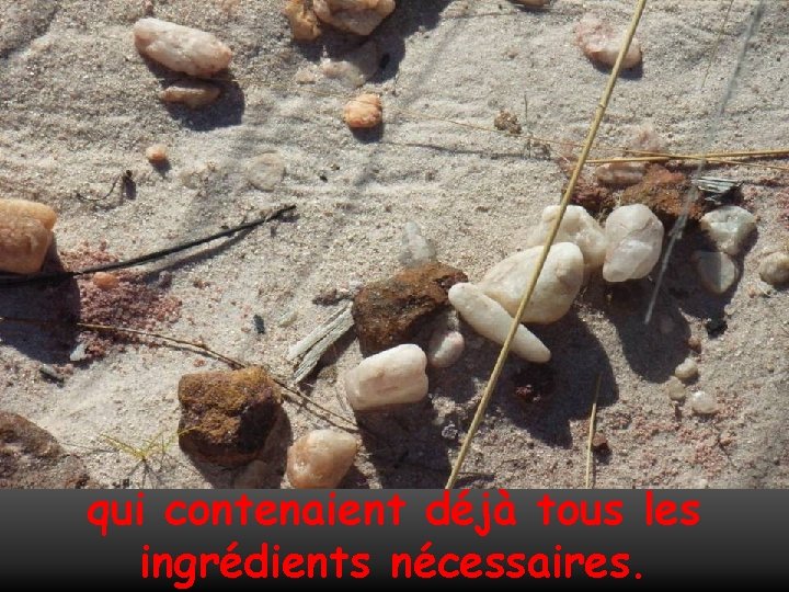 qui contenaient déjà tous les ingrédients nécessaires. 