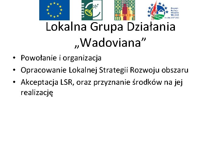 Lokalna Grupa Działania „Wadoviana” • Powołanie i organizacja • Opracowanie Lokalnej Strategii Rozwoju obszaru