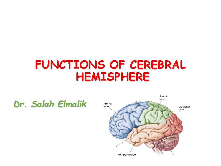 FUNCTIONS OF CEREBRAL HEMISPHERE Dr. Salah Elmalik 