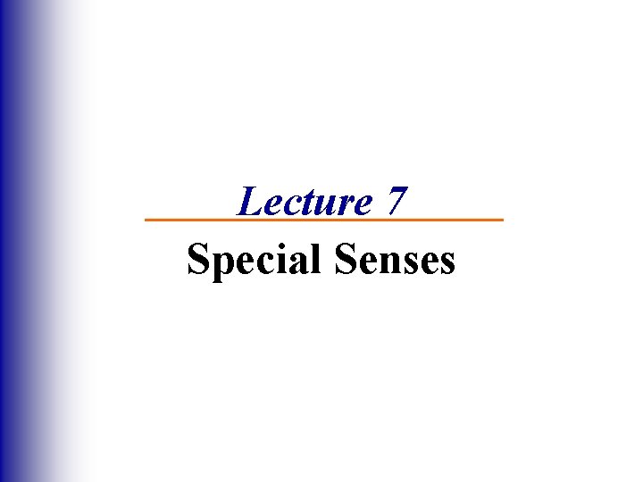 Lecture 7 Special Senses 