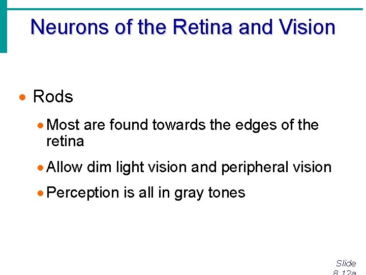 Neurons of the Retina and Vision · Rods · Most are found towards the