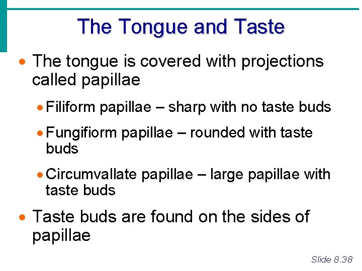 The Tongue and Taste · The tongue is covered with projections called papillae ·