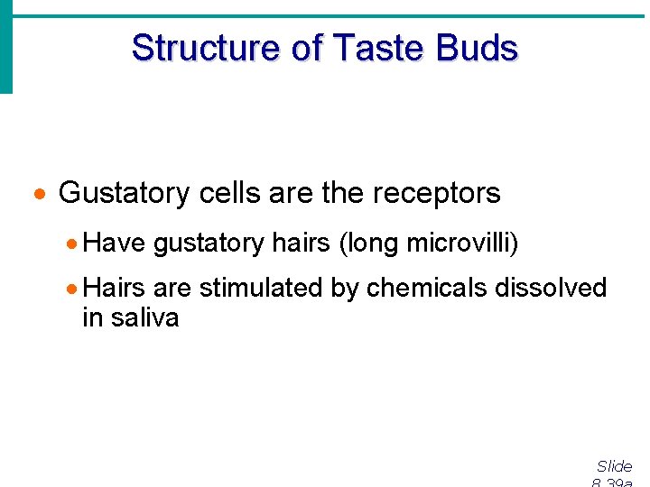 Structure of Taste Buds · Gustatory cells are the receptors · Have gustatory hairs