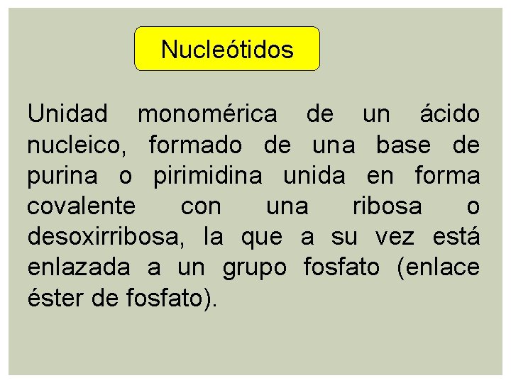 Nucleótidos Unidad monomérica de un ácido nucleico, formado de una base de purina o