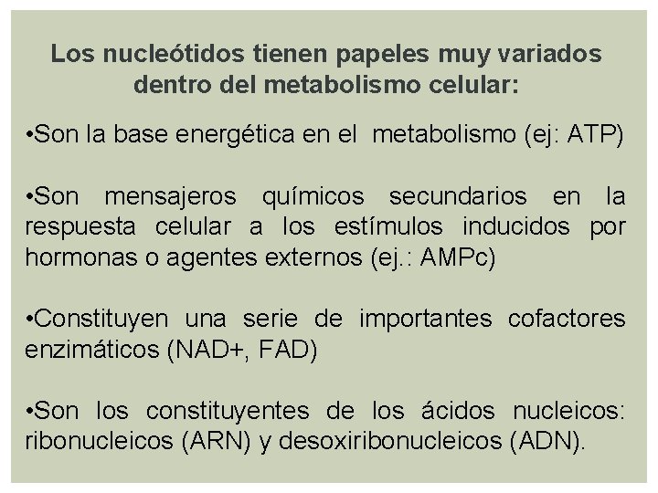 Los nucleótidos tienen papeles muy variados dentro del metabolismo celular: • Son la base