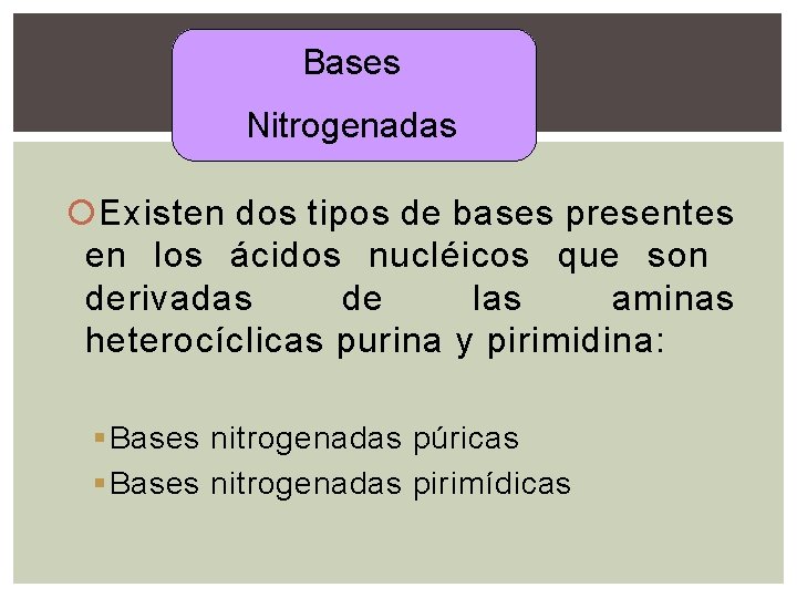 Bases Nitrogenadas Existen dos tipos de bases presentes en los ácidos nucléicos que son