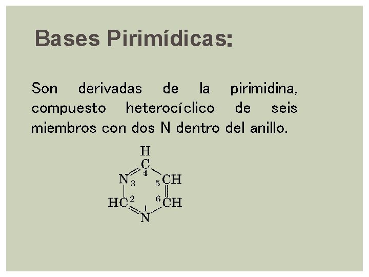 Bases Pirimídicas: Son derivadas de la pirimidina, compuesto heterocíclico de seis miembros con dos