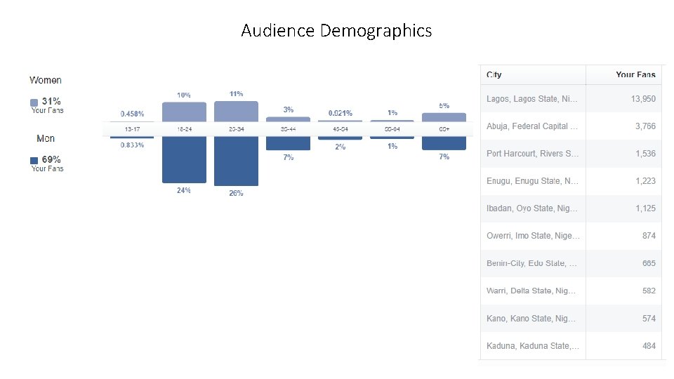 Audience Demographics 