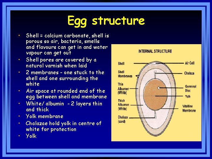 Egg structure • • Shell = calcium carbonate, shell is porous so air, bacteria,