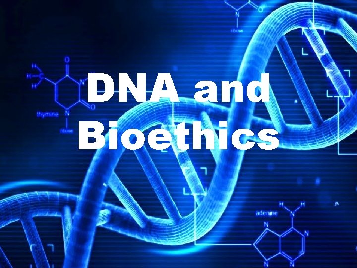 DNA and Bioethics 