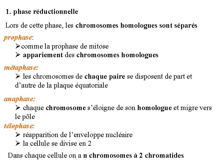 1. phase réductionnelle Lors de cette phase, les chromosomes homologues sont séparés prophase: Øcomme