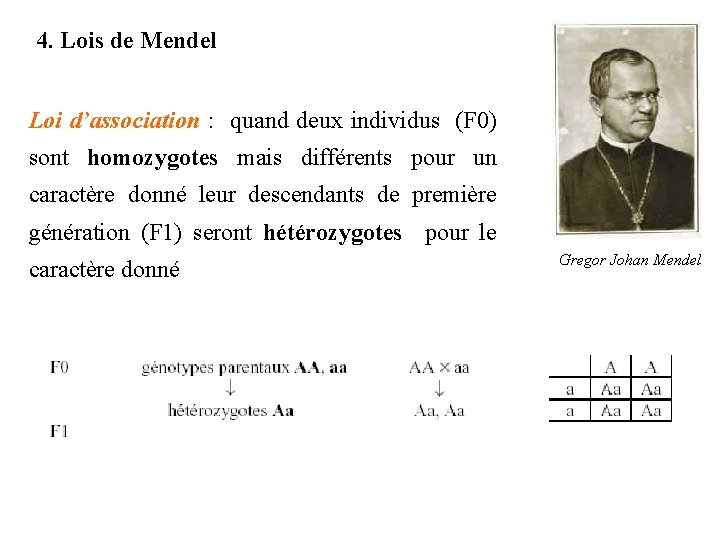 4. Lois de Mendel Loi d’association : quand deux individus (F 0) sont homozygotes