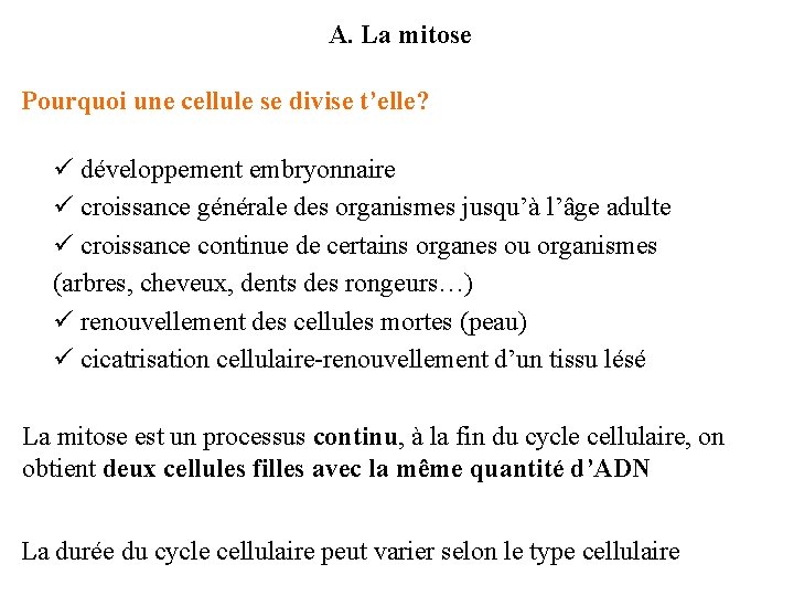 A. La mitose Pourquoi une cellule se divise t’elle? ü développement embryonnaire ü croissance