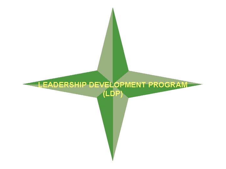 LEADERSHIP DEVELOPMENT PROGRAM (LDP) 