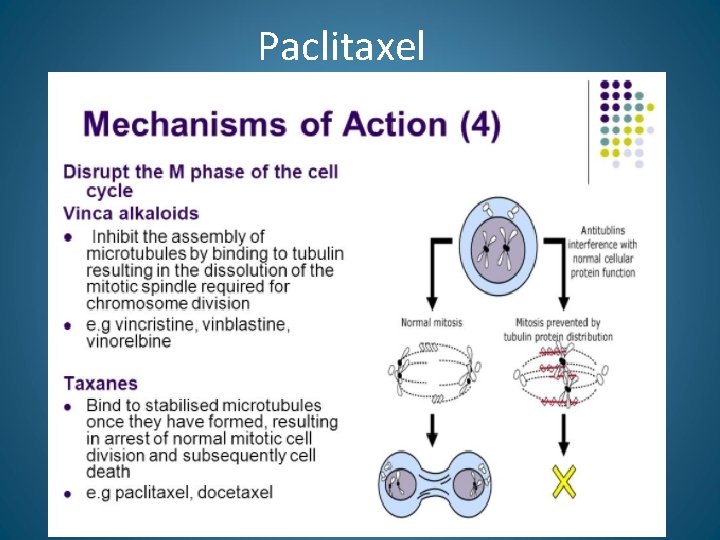 Paclitaxel 