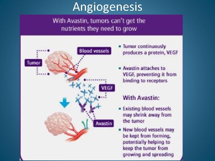Angiogenesis 