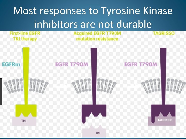 Most responses to Tyrosine Kinase inhibitors are not durable 