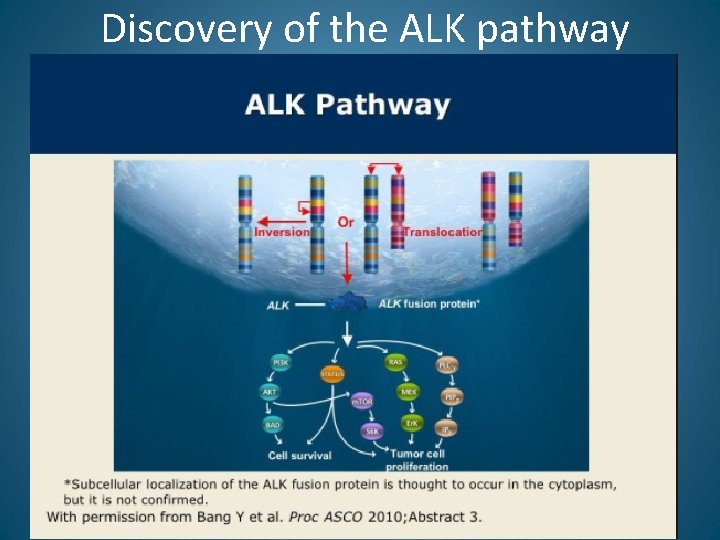 Discovery of the ALK pathway 