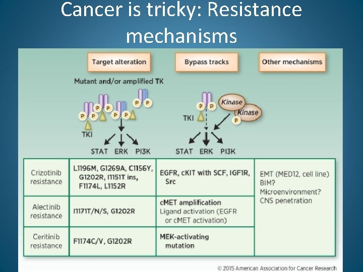 Cancer is tricky: Resistance mechanisms 