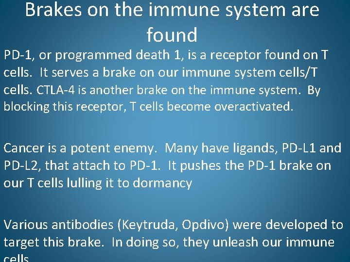 Brakes on the immune system are found PD-1, or programmed death 1, is a