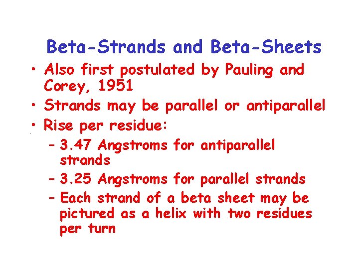 Beta-Strands and Beta-Sheets • Also first postulated by Pauling and Corey, 1951 • Strands