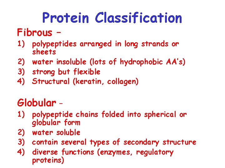 Protein Classification Fibrous – 1) polypeptides arranged in long strands or sheets 2) water