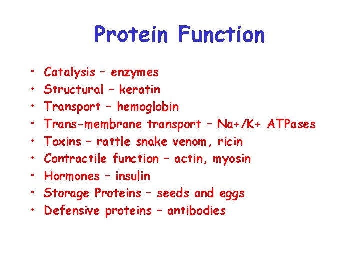 Protein Function • • • Catalysis – enzymes Structural – keratin Transport – hemoglobin