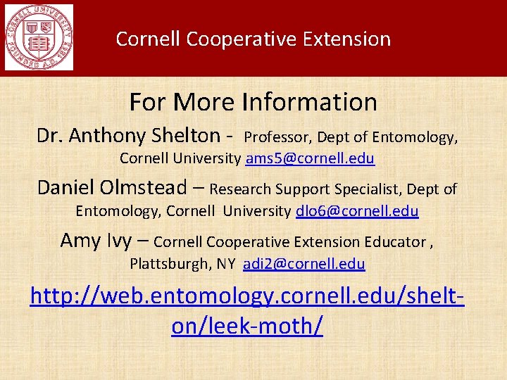 Cornell Cooperative Extension For More Information Dr. Anthony Shelton - Professor, Dept of Entomology,