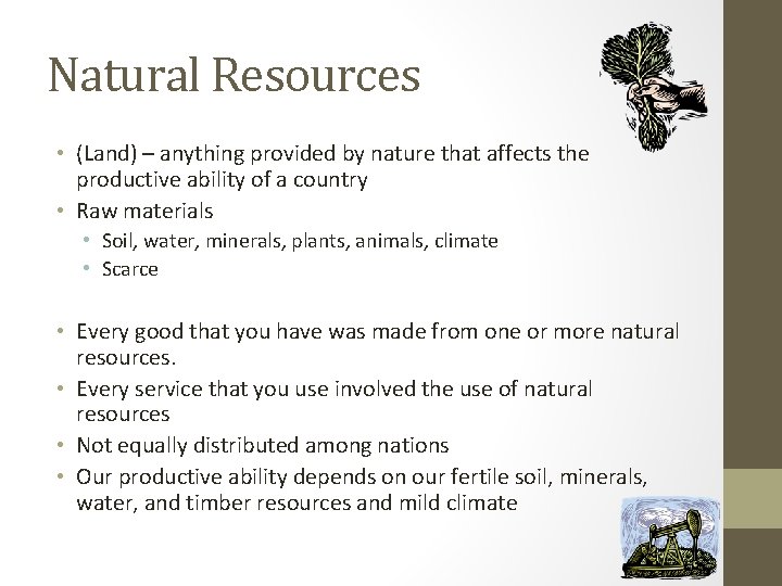 Natural Resources • (Land) – anything provided by nature that affects the productive ability
