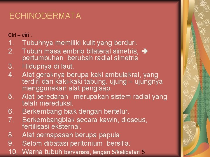 ECHINODERMATA Ciri – ciri : 1. 2. Tubuhnya memiliki kulit yang berduri. Tubuh masa