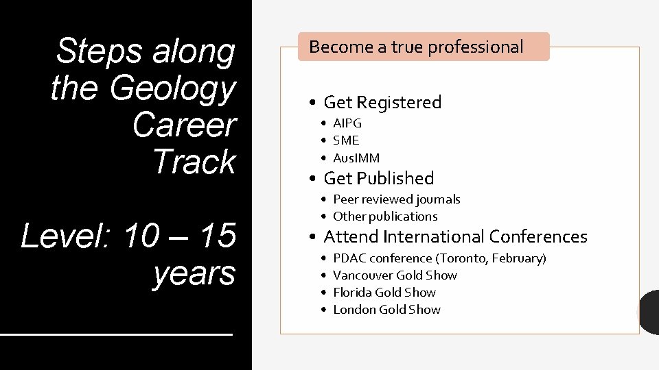 Steps along the Geology Career Track Level: 10 – 15 years Become a true