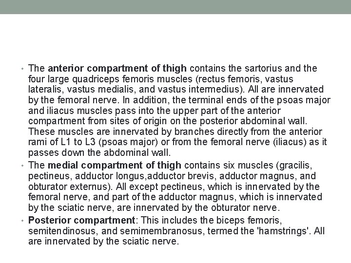  • The anterior compartment of thigh contains the sartorius and the four large