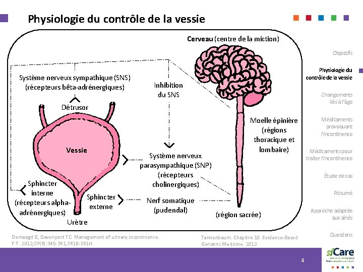 Physiologie du contrôle de la vessie Cerveau (centre de la miction) Objectifs Système nerveux