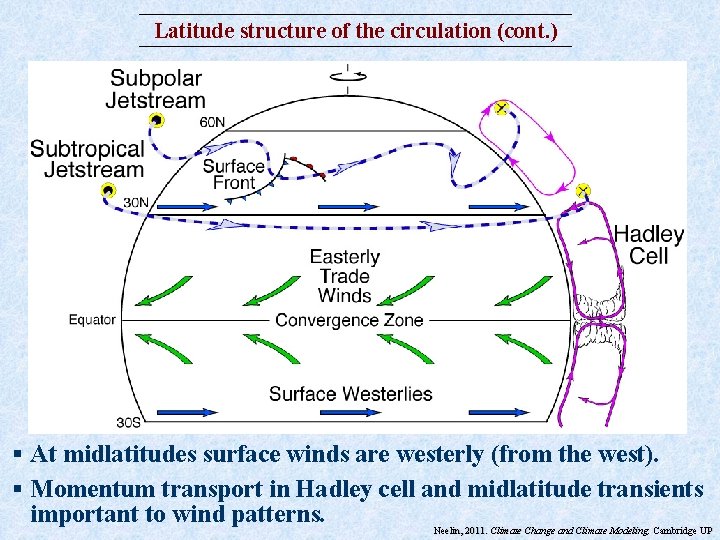 Latitude structure of the circulation (cont. ) § At midlatitudes surface winds are westerly Latitude structure of the circulation (cont. ) § At midlatitudes surface winds are westerly