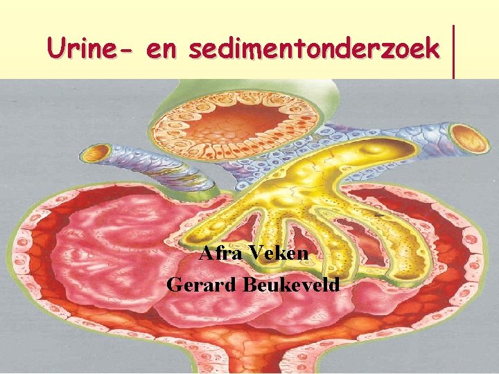 Urine- en sedimentonderzoek Afra Veken Gerard Beukeveld 