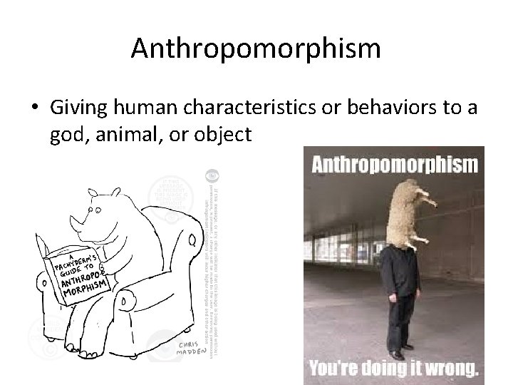 Anthropomorphism • Giving human characteristics or behaviors to a god, animal, or object 