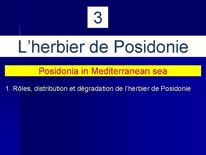 3 L’herbier de Posidonia in Mediterranean sea 1. Rôles, distribution et dégradation de l’herbier