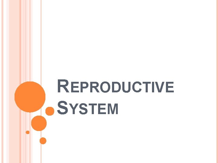REPRODUCTIVE SYSTEM 