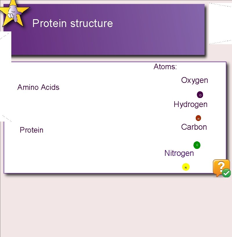 Protein structure Atoms: Amino Acids Oxygen O Hydrogen H Protein Carbon C Nitrogen N Protein structure Atoms: Amino Acids Oxygen O Hydrogen H Protein Carbon C Nitrogen N