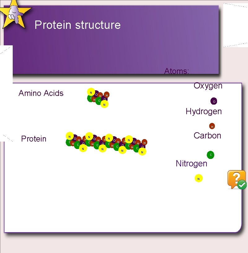 Protein structure Atoms: Oxygen Amino Acids N C O H H H C O Protein structure Atoms: Oxygen Amino Acids N C O H H H C O